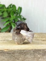 Brandberg, Amethyst Elestial Scepter Raw point