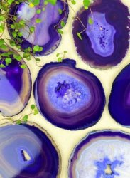 Agat, Lila Skiva Mellan