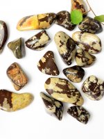 Jaspis, Zebra Trumlade Storpack