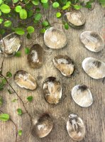 Smokey quartz, Tumbled Light Big Pack