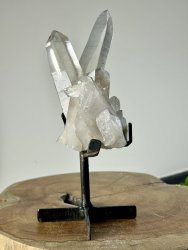 Lemurian, Kluster XL med Ställning