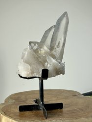 Lemurian, Kluster XL med Ställning