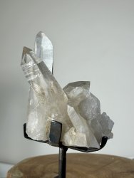 Lemurian, Kluster XL med Ställning