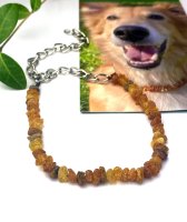 Bärnsten, Fästingshalsband till hund