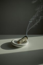 Rökelse, Stock Vit Salvia Liten