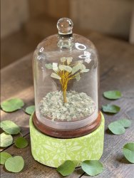Aventurine, Green Crystal Tree with Glass Dome