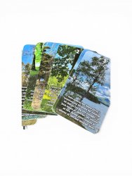 Oracle Cards, Skogens Orakel
