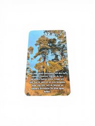 Oracle Cards, Skogens Orakel