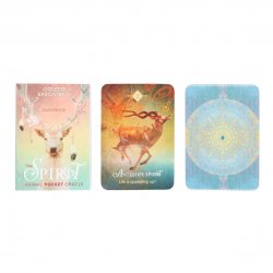 Oracle card, The Spirit Animal in tin can