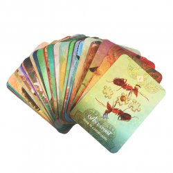 Oracle card, The Spirit Animal in tin can