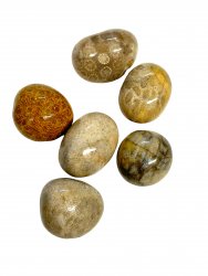 Petoskey sten, Cuddle Stone