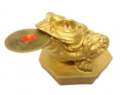 Feng Shui, Frog Gold with Coin