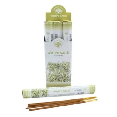 Incense Stick, Green Tree White Sage Box