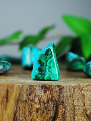 Malakolla, Fri form Storpack