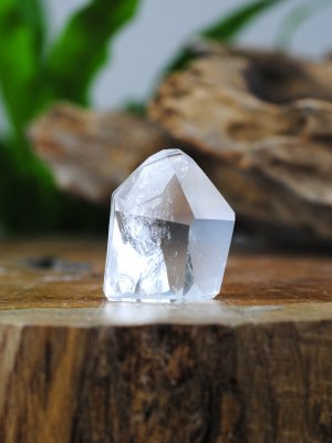 Lemurian, Fantom