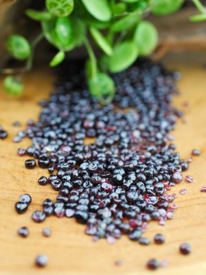 Grarnet, red Undrilled chips bigpack