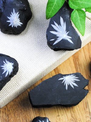 Chrysanthemum stone, Half Polished XL