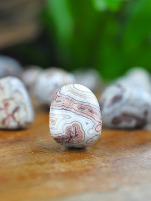 Agat, Crazy Lace Trumlade