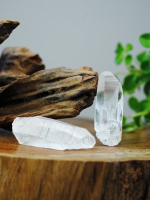 Lemurian, Rå Spets XL