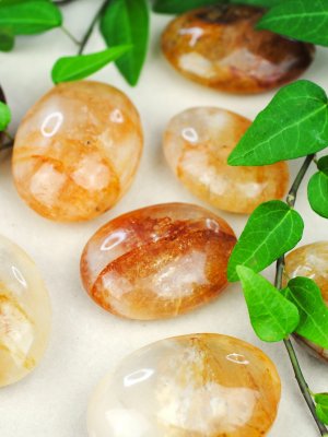 Golden Healer, Handsten Polerad