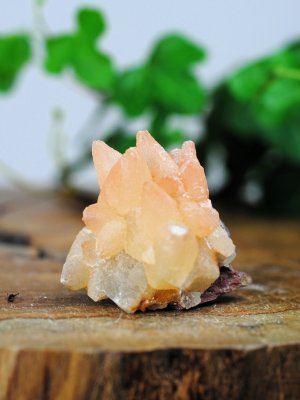 Calcite, Dogtooth Cluster