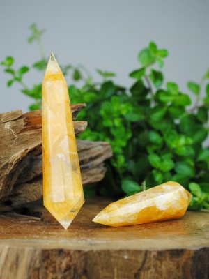 Golden healer, Vogel