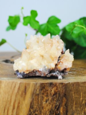 Calcite, Dogtooth Cluster
