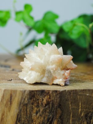Calcite, Dogtooth Cluster