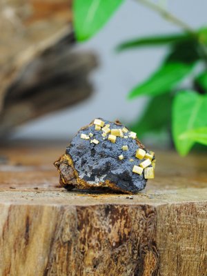Wulfenite, on Matrix