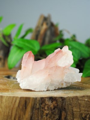 Lemurian, Rosa Kluster