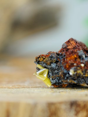Wulfenite, on Matrix