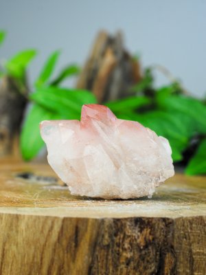 Lemurian, Pink Cluster