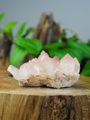 Lemurian, Pink Cluster
