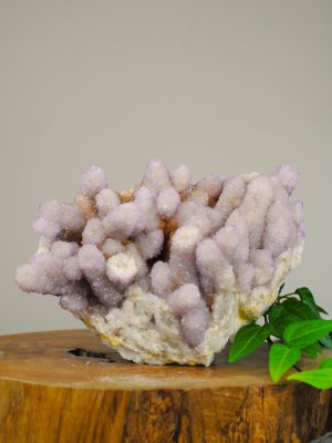 Spiritquartz, Cluster XXL