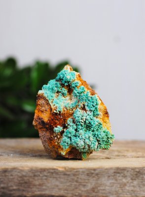 Aragonite, Blue Vera cruz Cluster EQ