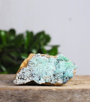 Aragonite, Blue Vera cruz Cluster EQ Large