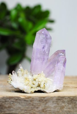 Ametist, Vera cruz Kluster på Matrix HK