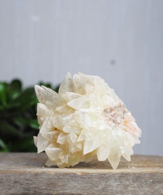 Calcite, Dogtooth Cluster