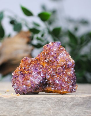 Amethyst, South Africa Cluster