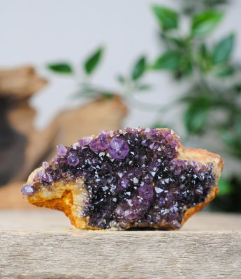 Amethyst, South Africa Cluster