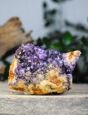 Amethyst, South Africa Cluster