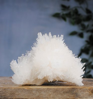 Scolecite, Needle cluster EQ XL