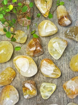 Golden Healer, Jumbo