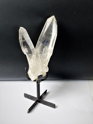Lemurian, Cluster XL with Pin