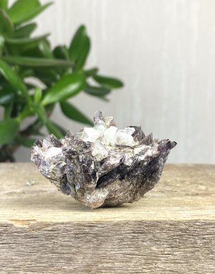 Axinite, on Matrix