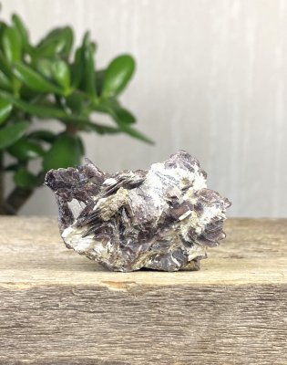 Axinite, on Matrix