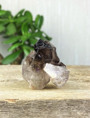 Brandberg, Amethyst Elestial Scepter Raw point