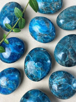 Apatite, Blue Palm stones Polished