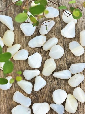 Opal, Vit Trumlade XL Storpack