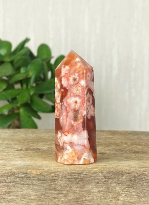 Agate, Red Flower Point